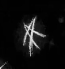 𖤓lilly☆☾ tweet media