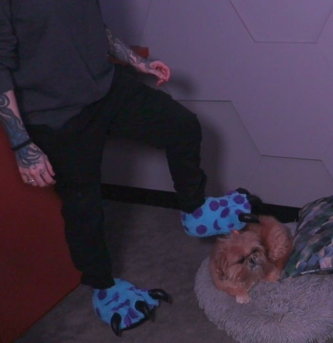 acervo moonkase tweet media