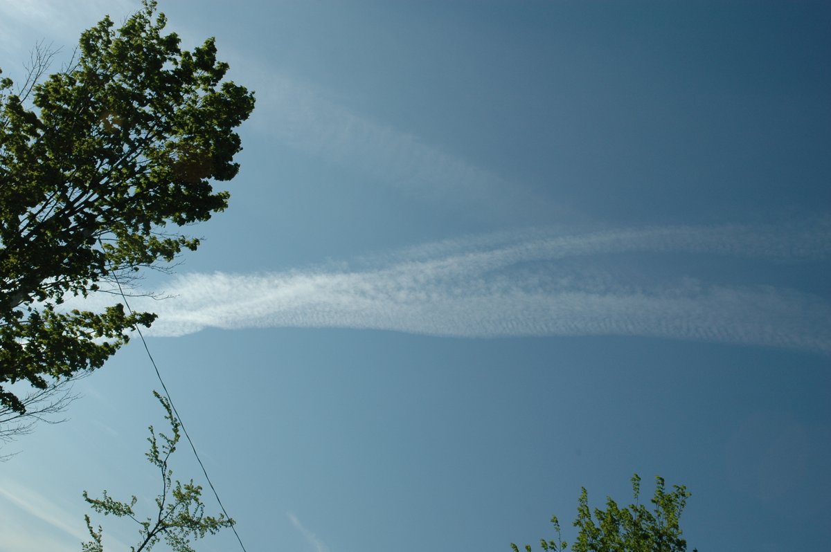 Wayne Goodfellow tweet media