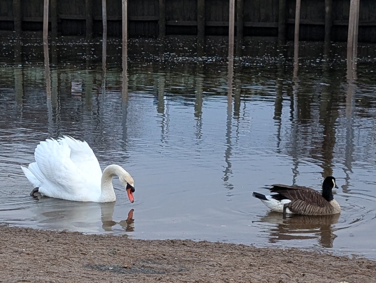 House of Chaos tweet media