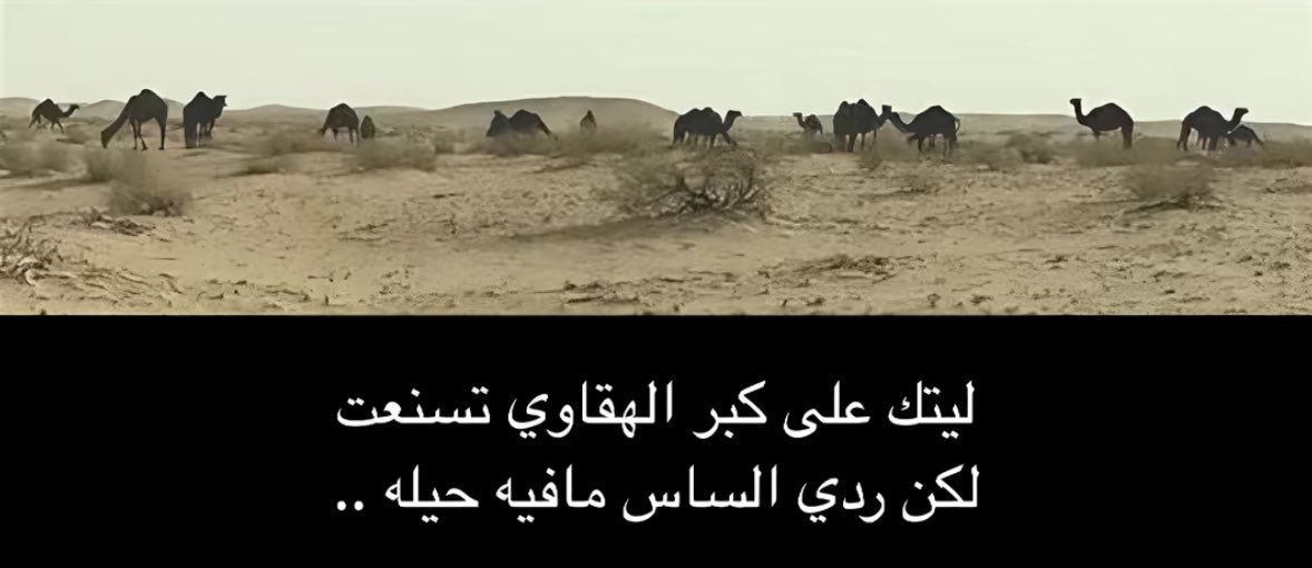 Bin Own 𓅃 tweet media