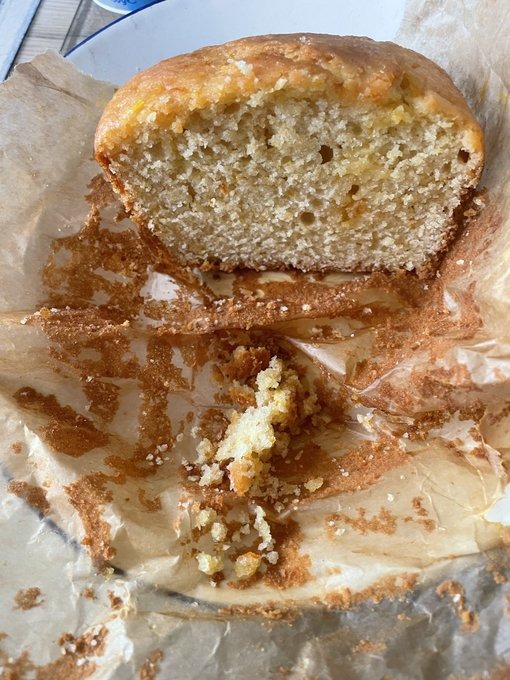 🇺🇦🌻 Bat Shiba🌻 🇺🇦 🐸🇬🇪 🐦 бабуся Fella tweet media