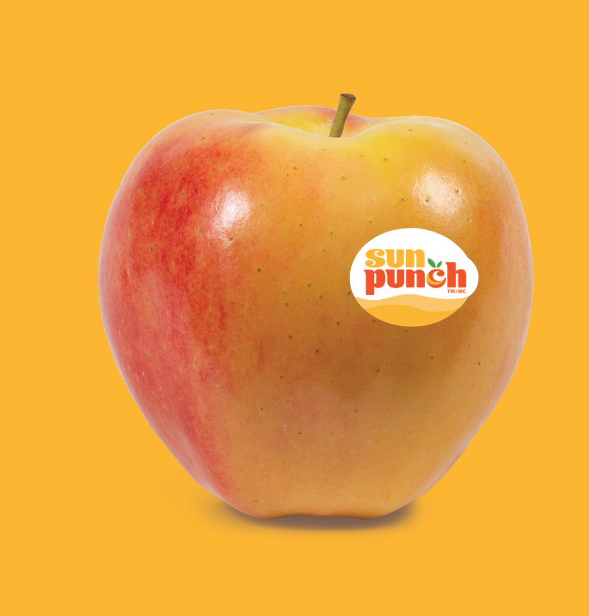 ⸜(｡ ˃ ᵕ ˂ )⸝♡ tweet media