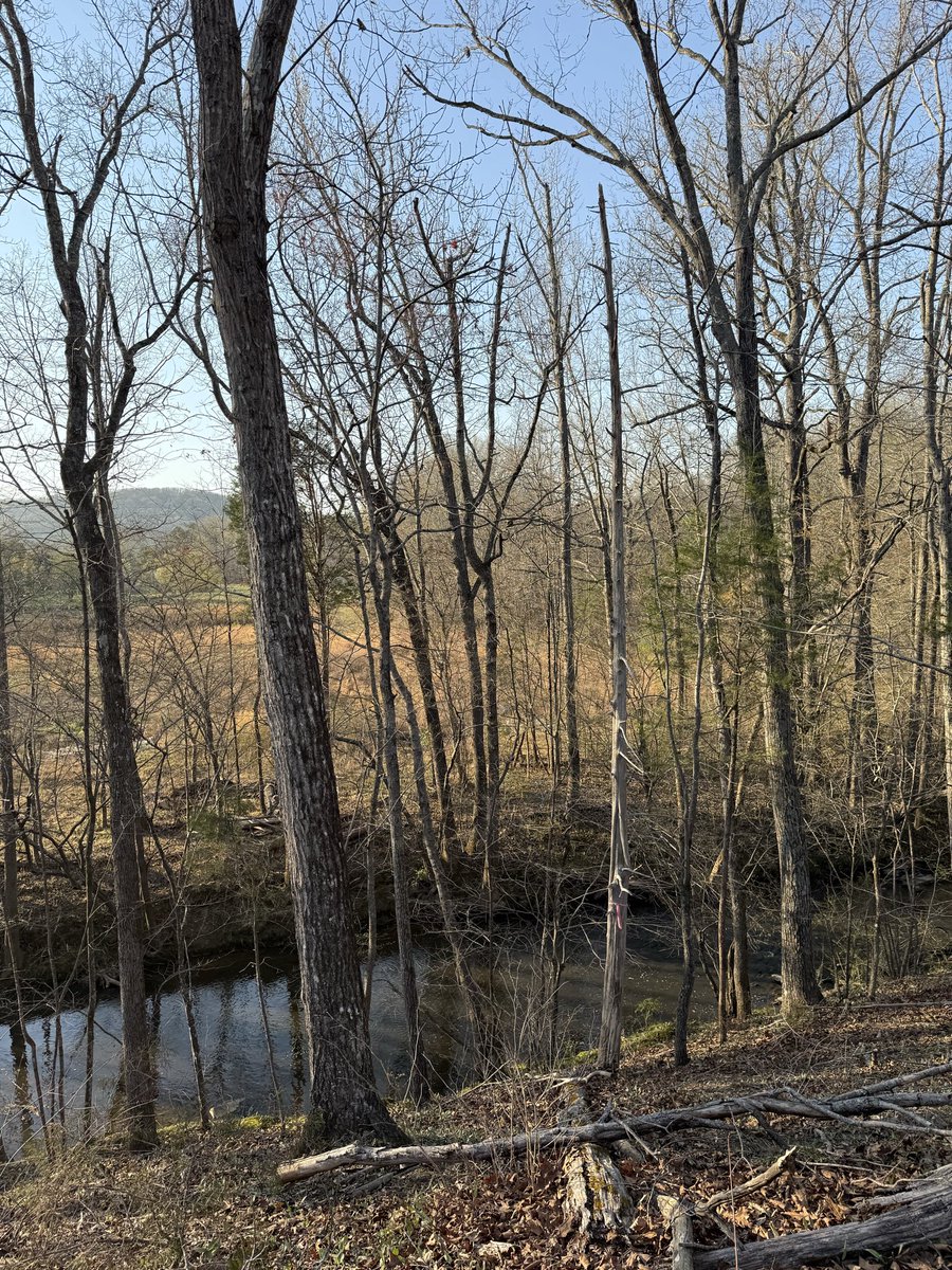 Buffalo Dan tweet media