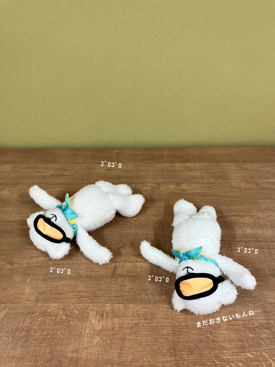 【公式】AIRDO（エア・ドゥ）｜北海道の翼 tweet media