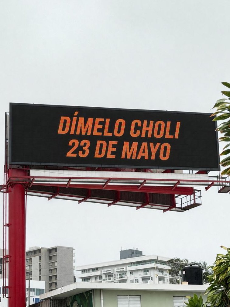 carloxx iván tweet media