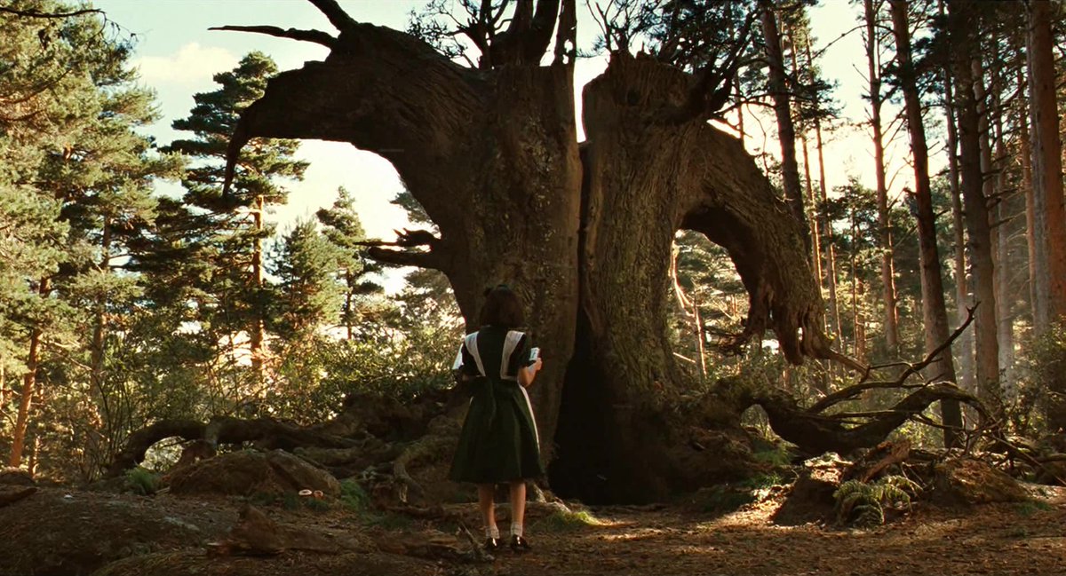 FilmFrame tweet media