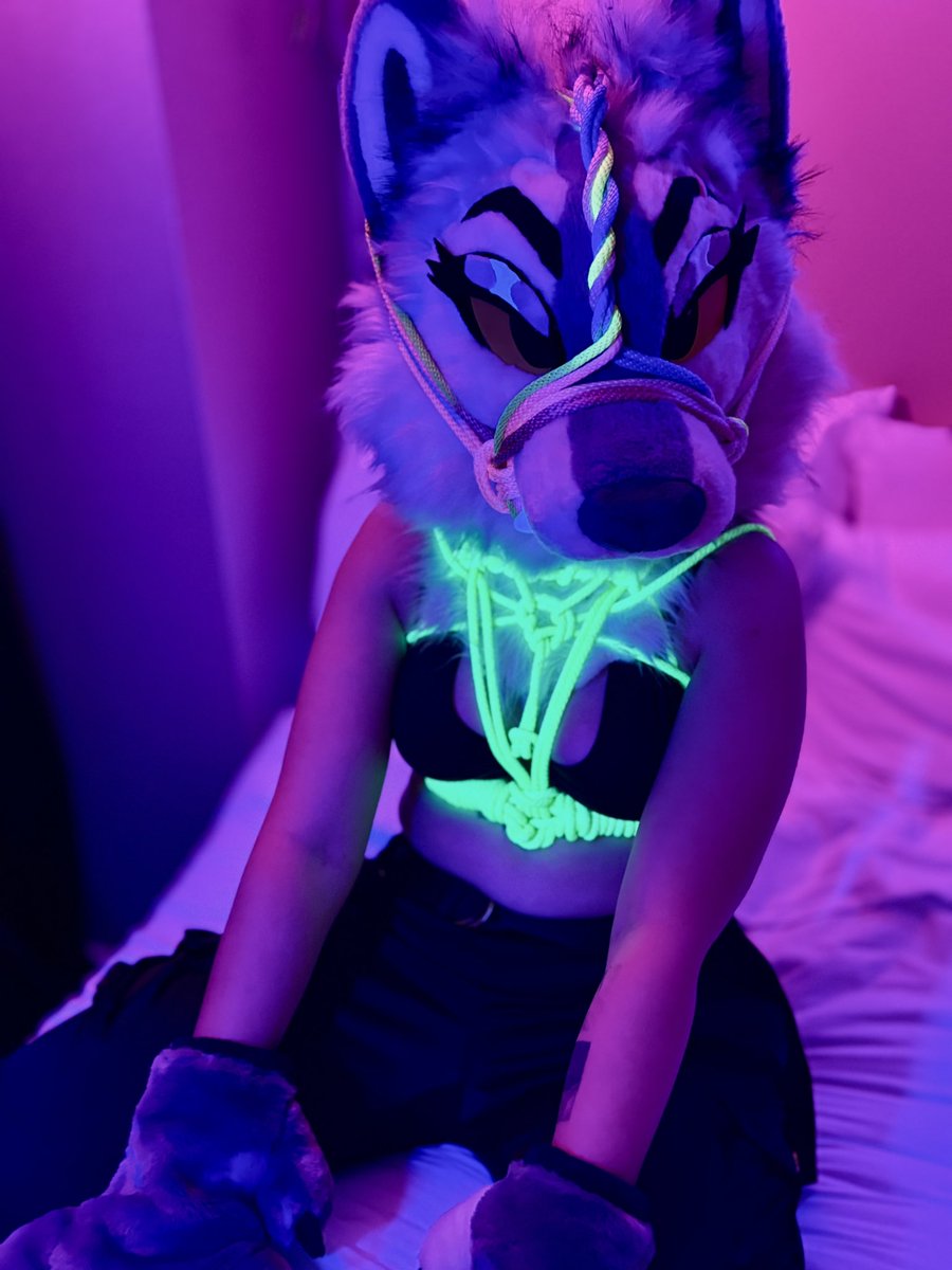 👑 𝙺𝚞𝚛𝚝 👑 tweet media