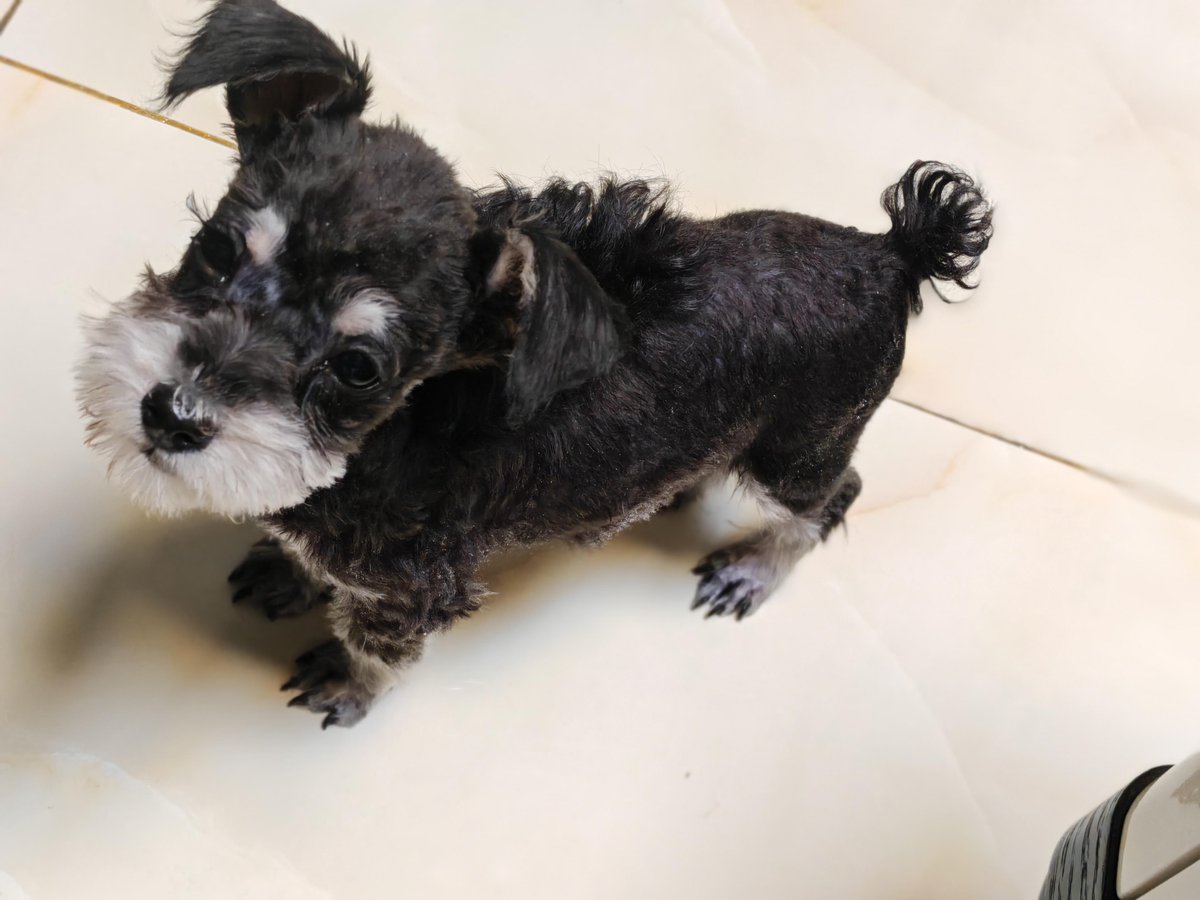 Logan Kelsch tweet media