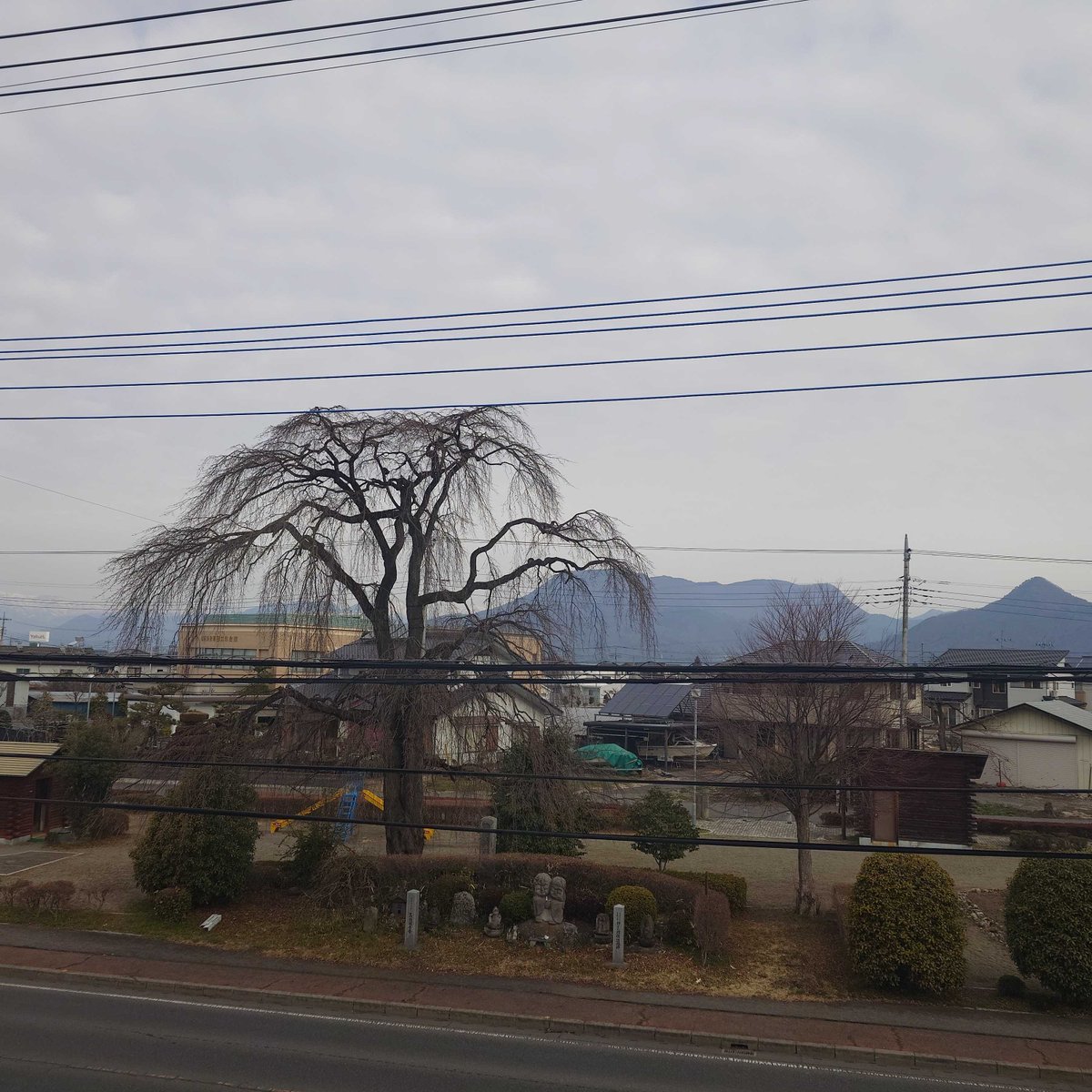 (株)たけのうち電器 tweet media