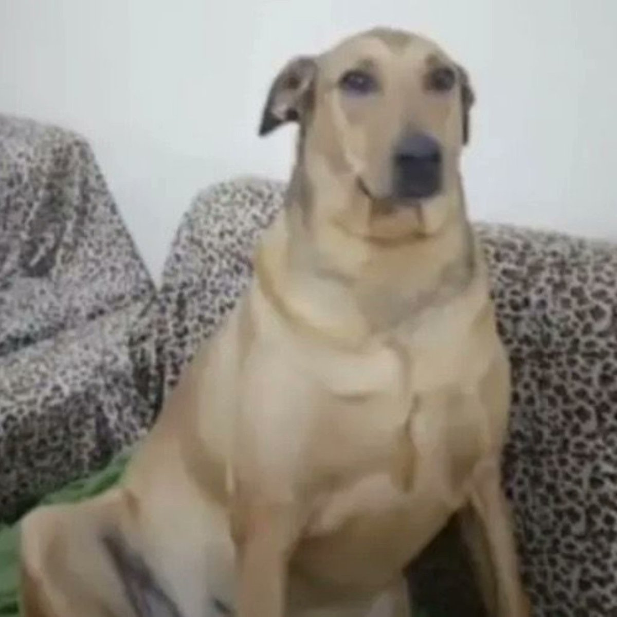 FlyInSky tweet media