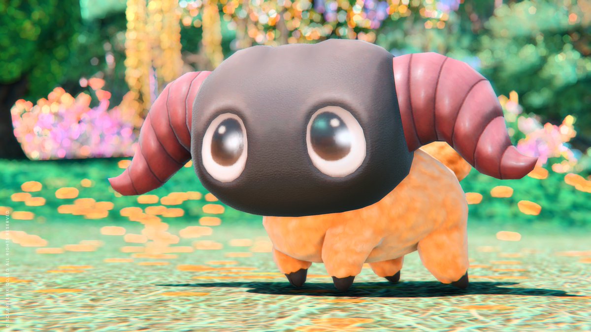 おめめがとぅるとぅるヤーン🐏