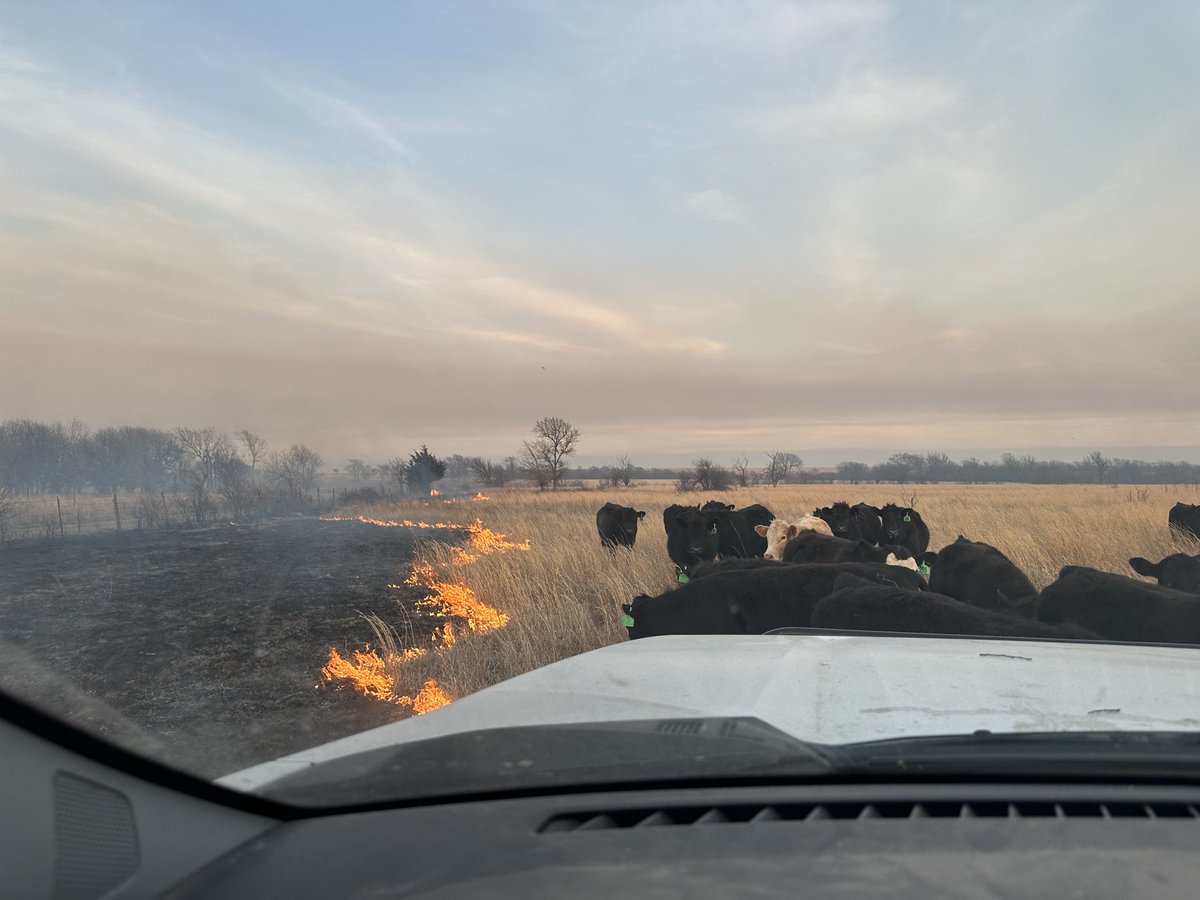 Shawn Alloway tweet media