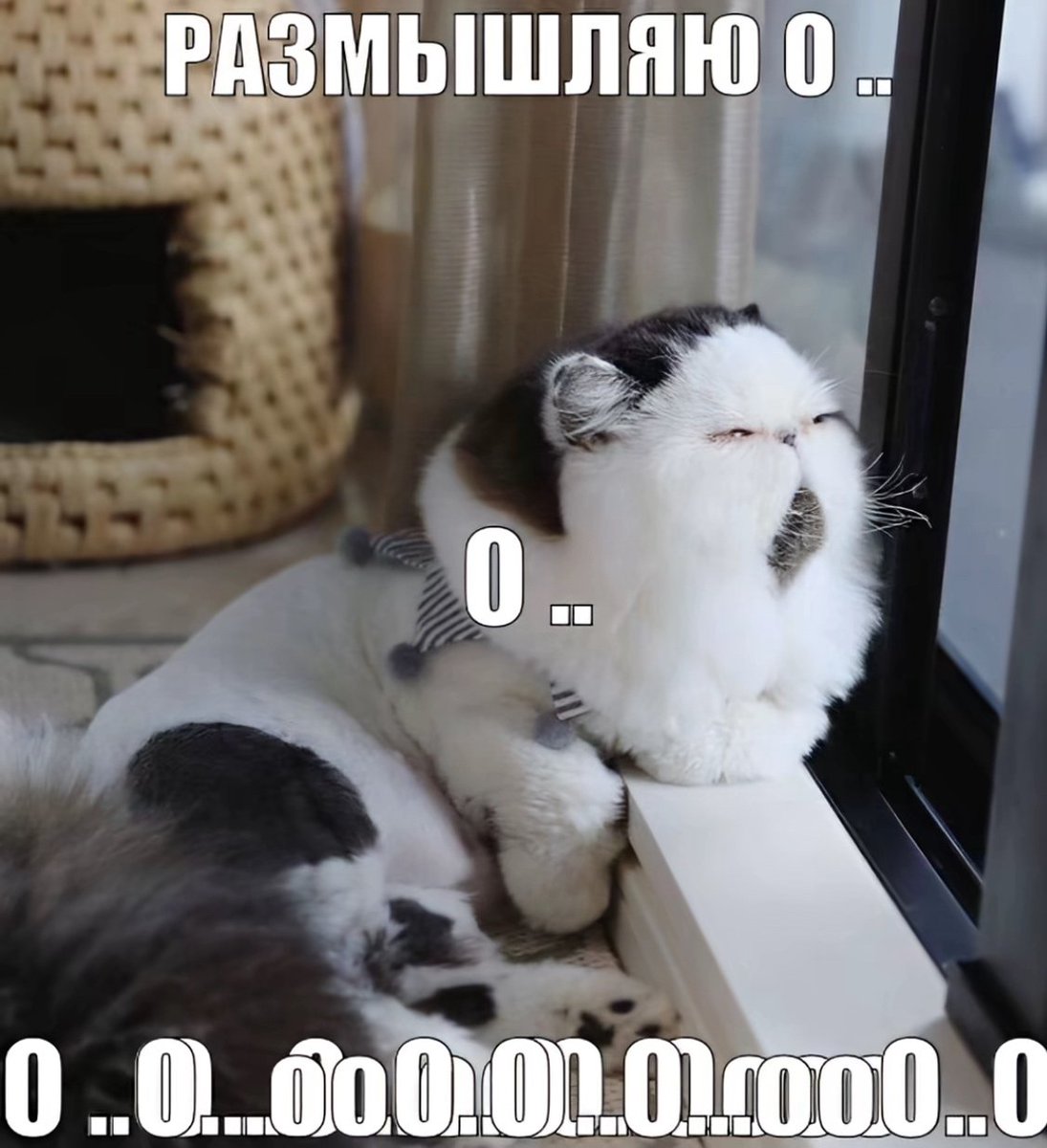 Спихопат с электрогитарой🐍 tweet media