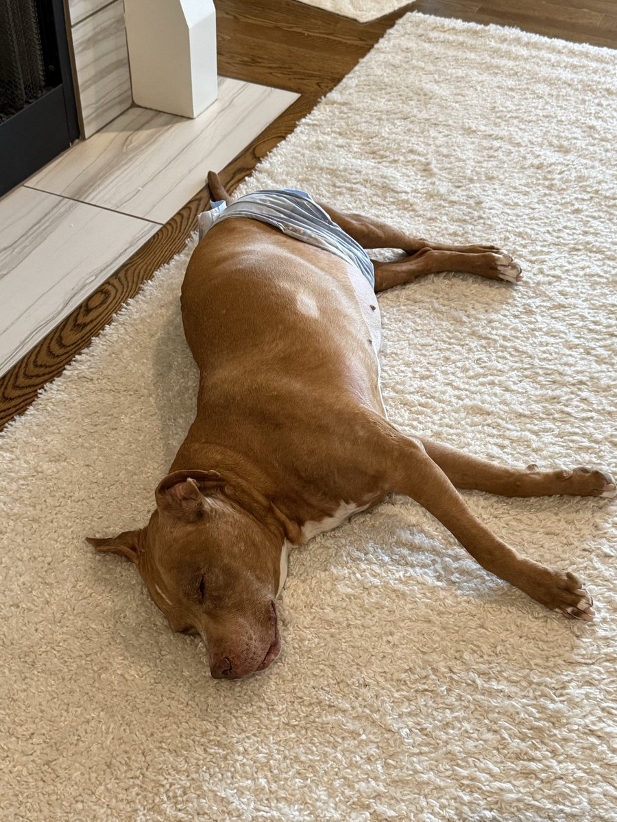 Susan Leigh tweet media