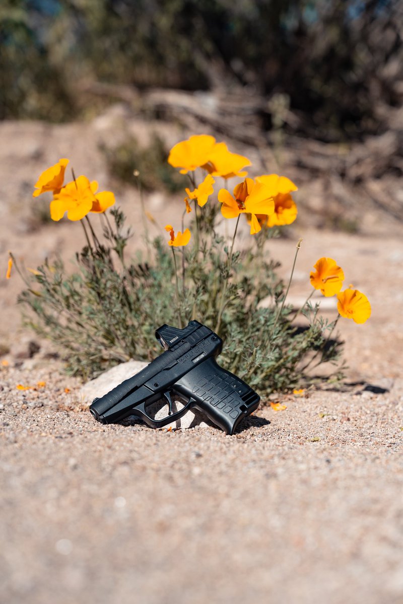 KelTec tweet media