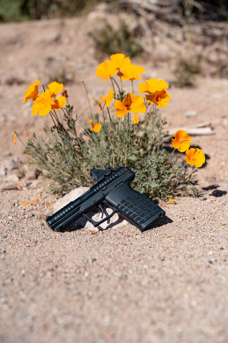 KelTec tweet media