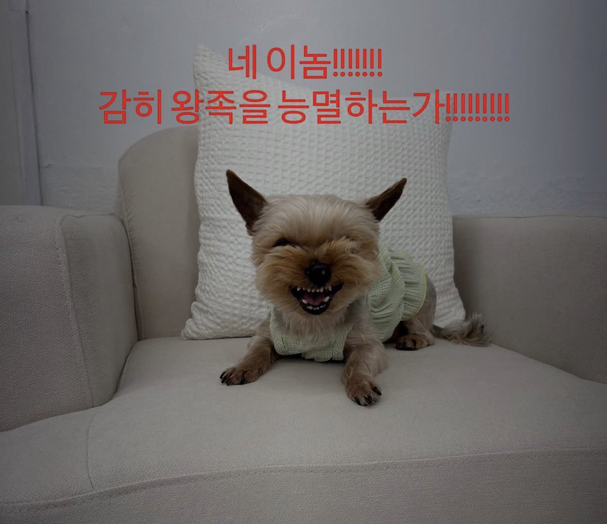 개병규 tweet media