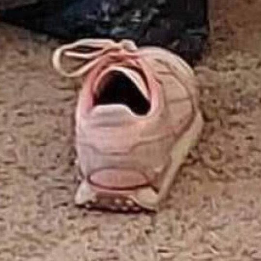 Freddie 🌻 tweet media