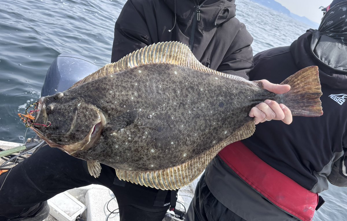 hiro 𓆝 tweet media