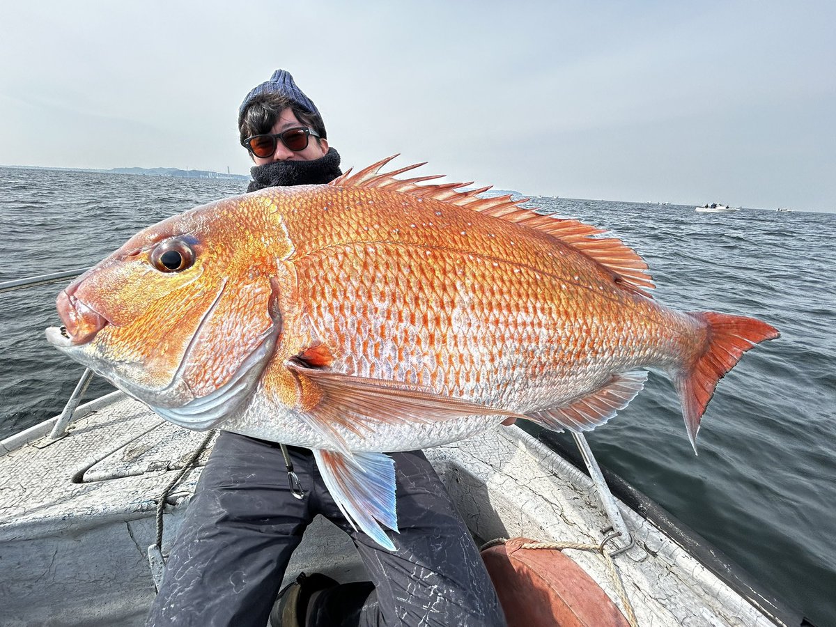 hiro 𓆝 tweet media