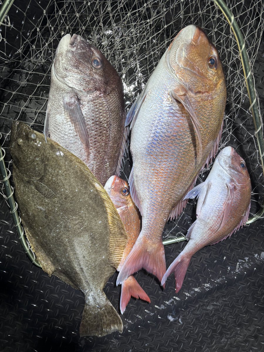 hiro 𓆝 tweet media