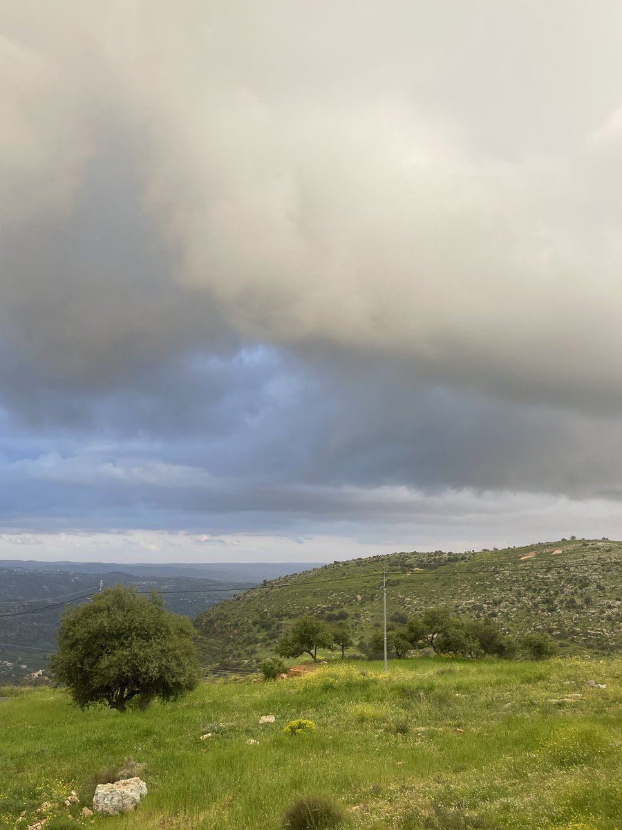 داريــن tweet media