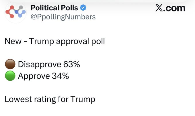 ThePatrioticBlonde🇺🇸 tweet media