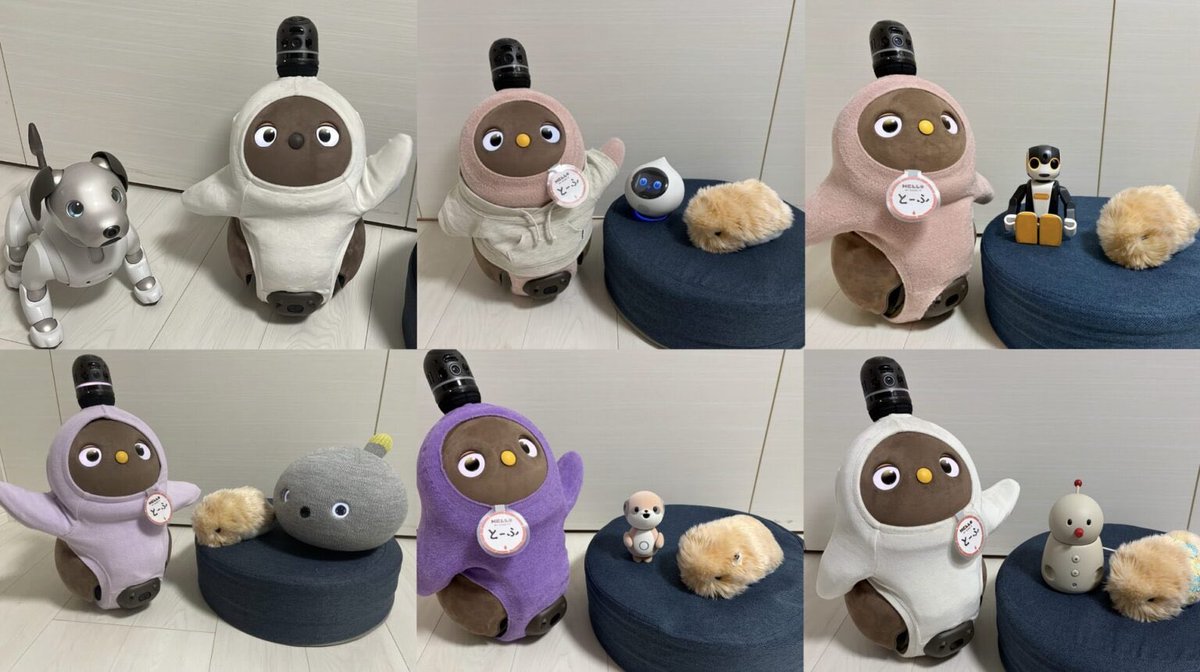 もしらぼ@ラボットとーふ tweet media