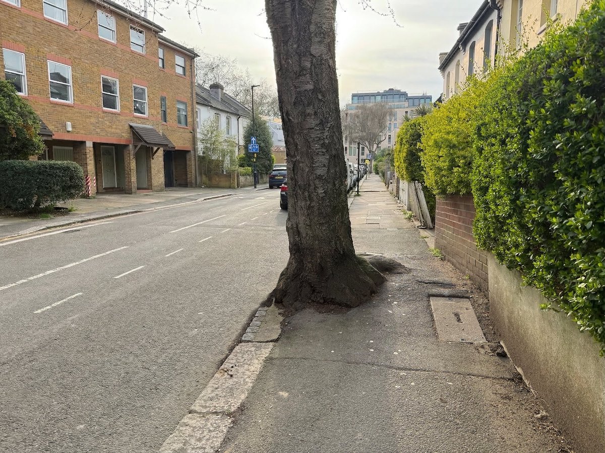 Robert Kwolek tweet media