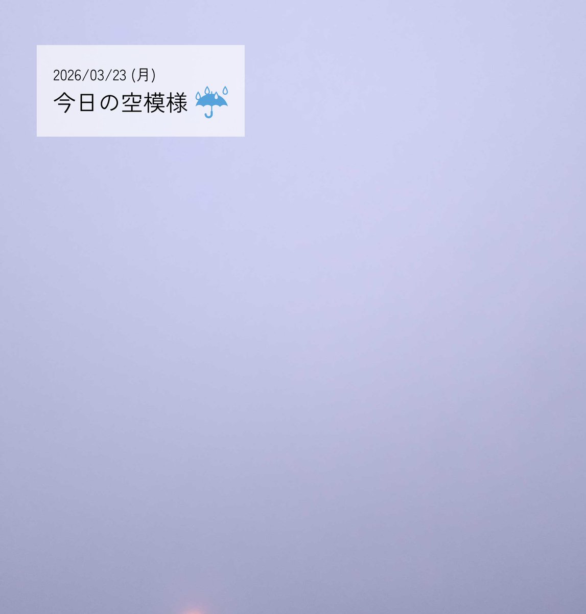 blank canvas tweet media