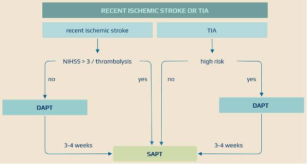 WalidoNeuroPedia tweet media