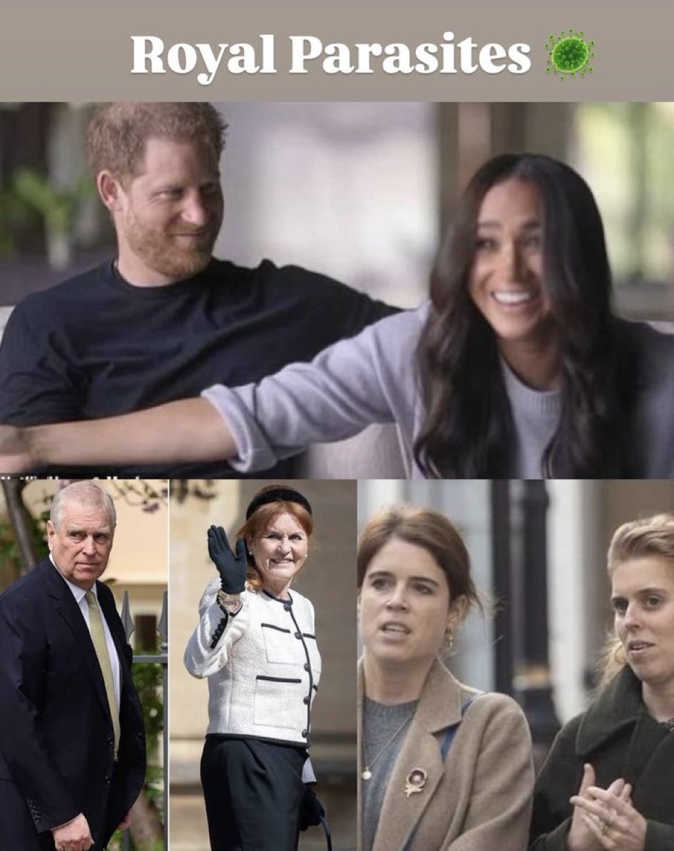 Meg_yachtgrifter tweet media