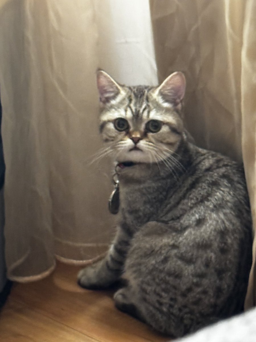 طراد الأسمري tweet media