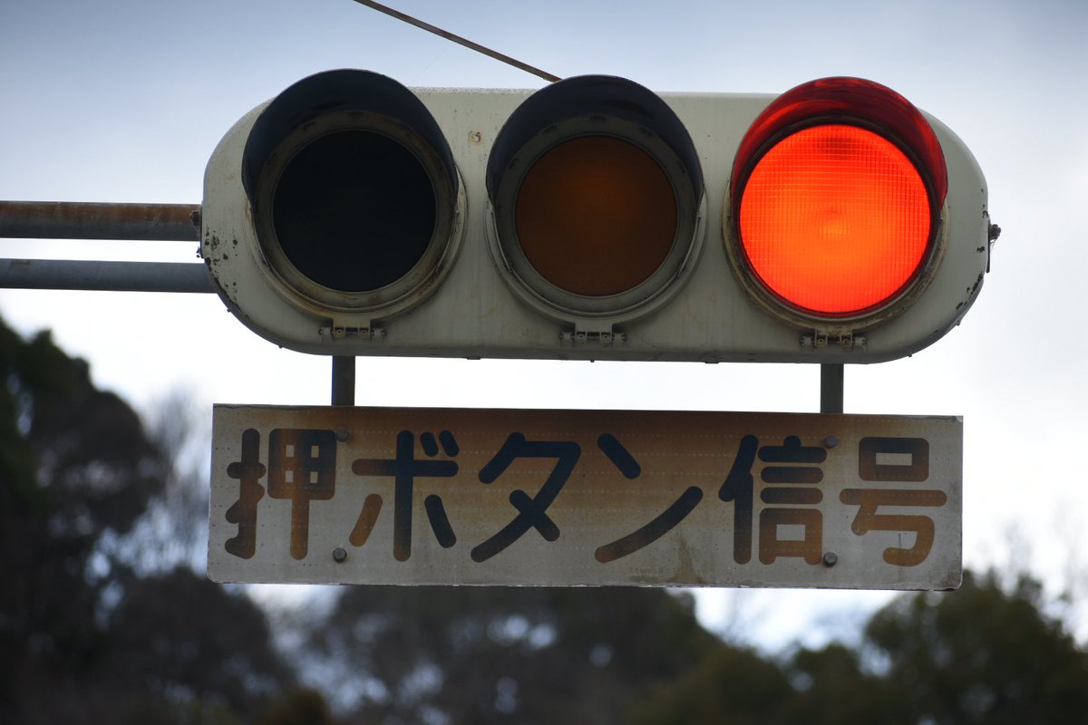 しんおた tweet media