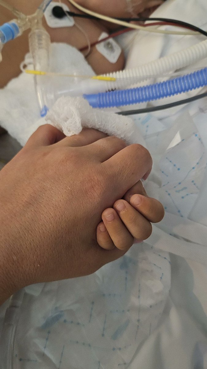 ▪ Marina Bidondo ▪ tweet media