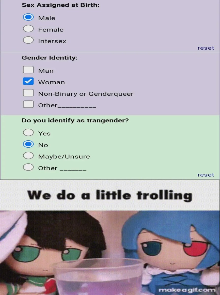 Gay Frog 🏳️‍⚧️ tweet media