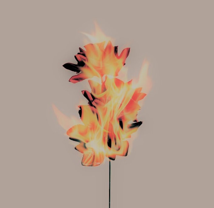 「ᴄᴀᴛᴀᴄʟʏsᴍɪᴄ ɢᴏᴅ」 tweet media