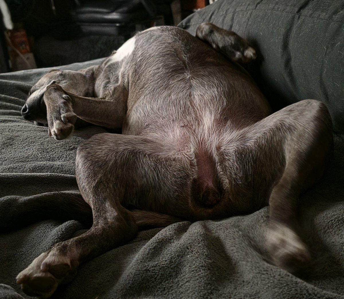 Back Our Blue tweet media