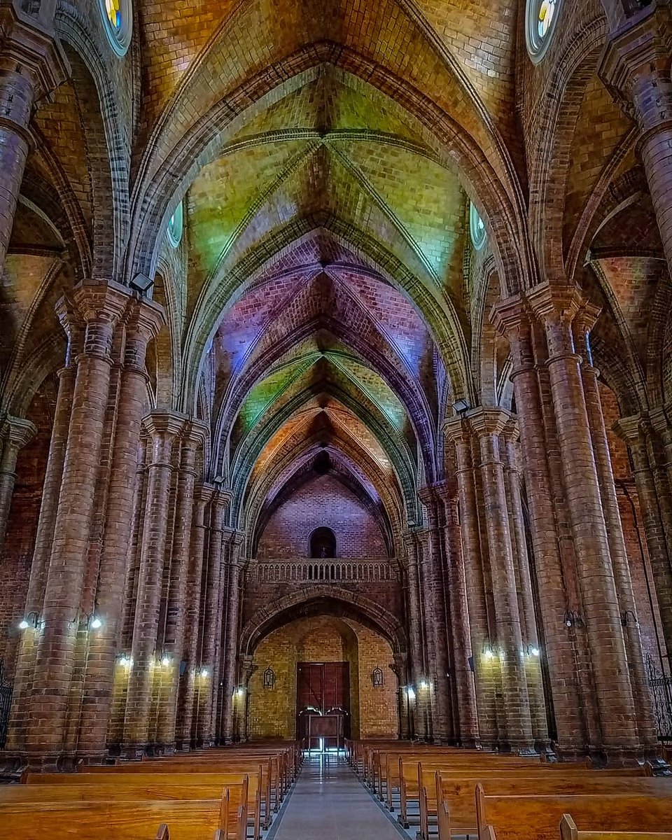 Venezuelensis Andium Venustas Aesthetics tweet media