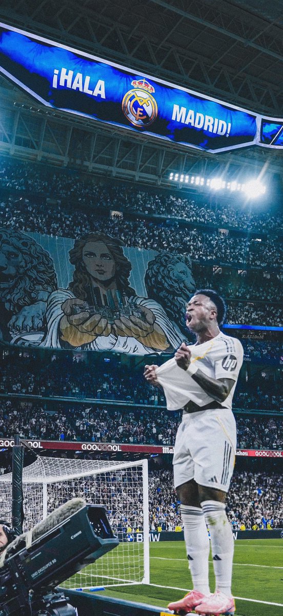 (fan) Marito 🐢 tweet media