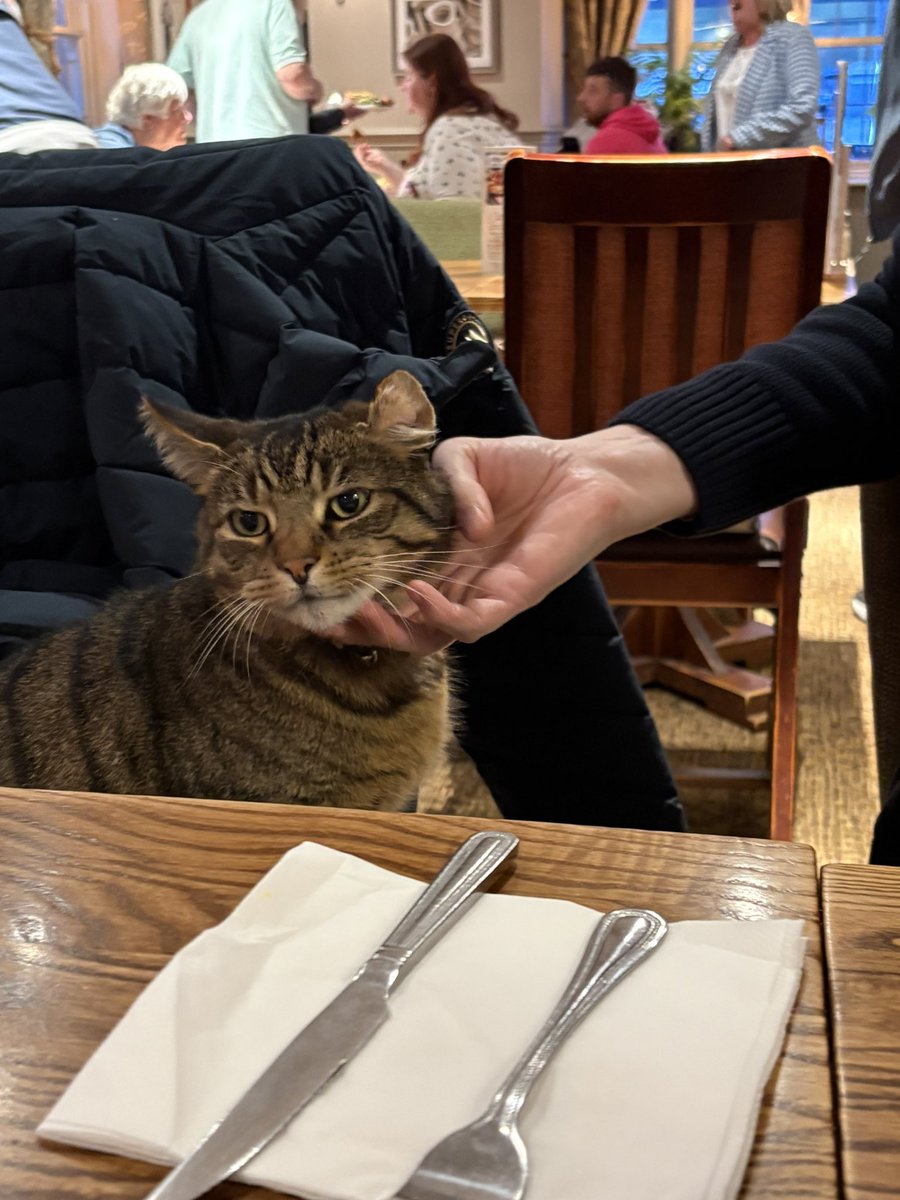 Gladys Beak 🐢 tweet media