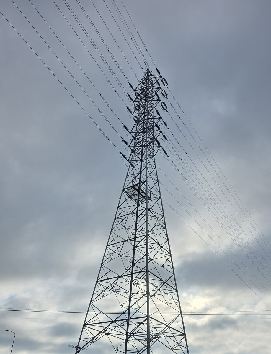 Aki🐈‍⬛ tweet media