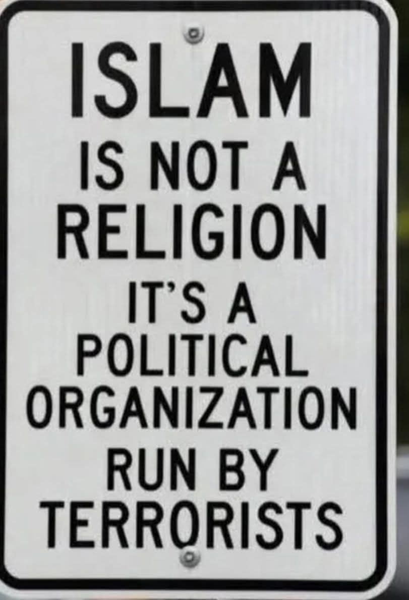 โฅยธยธ.โขDeirdre McGuire tweet media