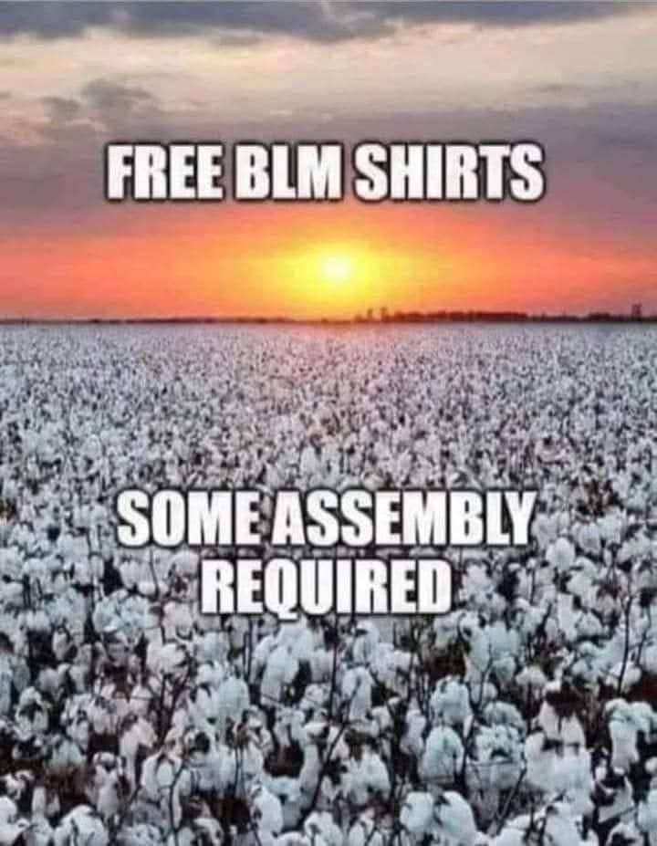 Trolling.Canuck tweet media