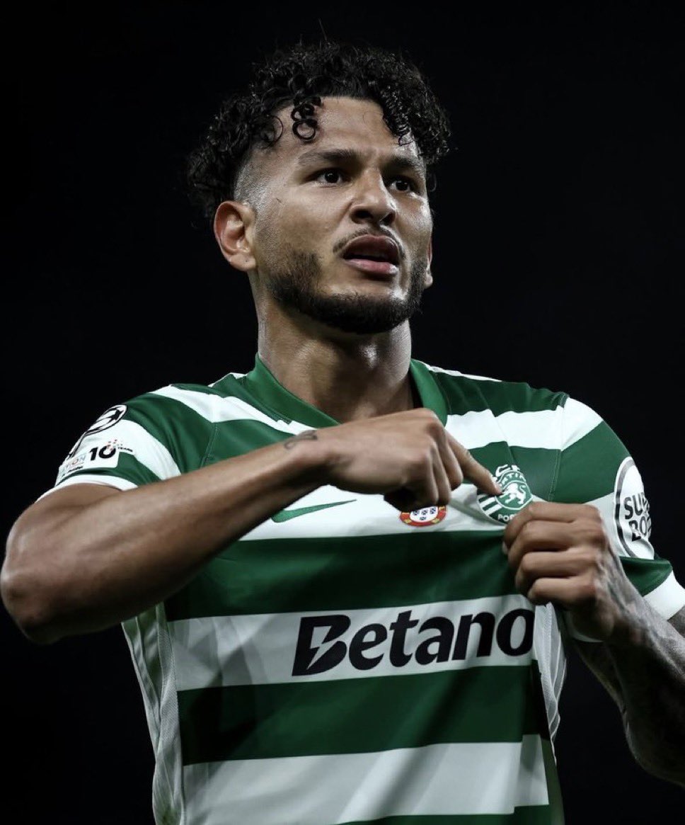 ALVARO HINCAPIE C. tweet media