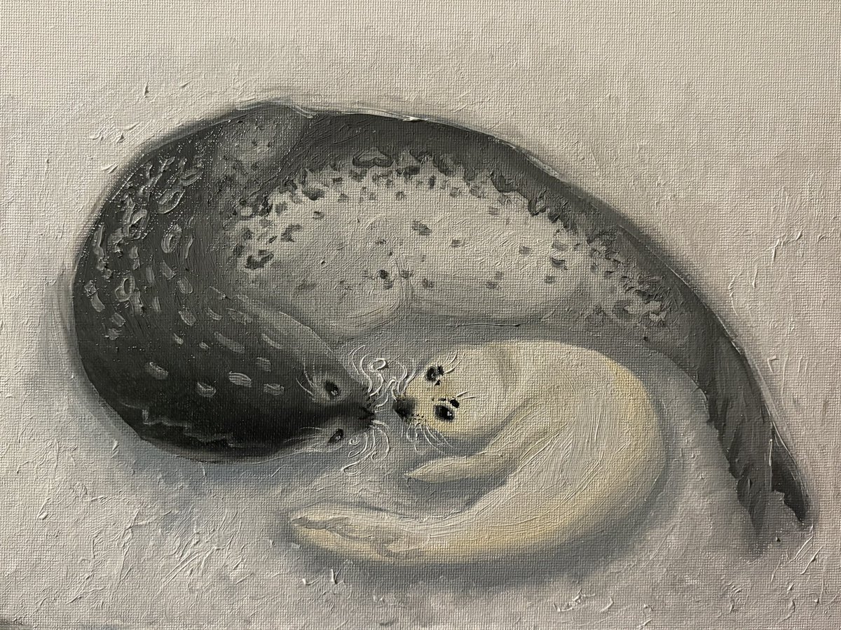 spencer 𓆟 tweet media