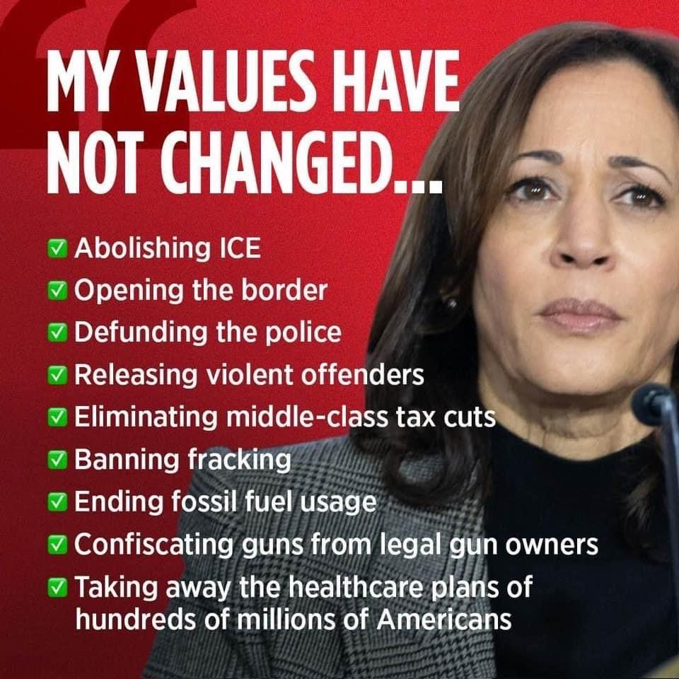 Bullballs02 tweet media