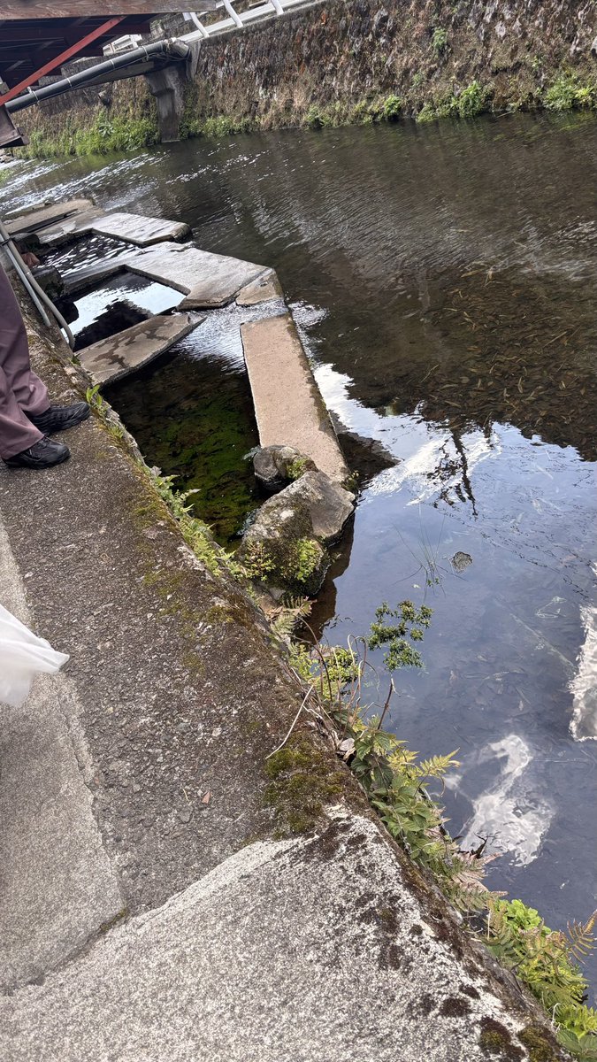 九州のマッキー tweet media