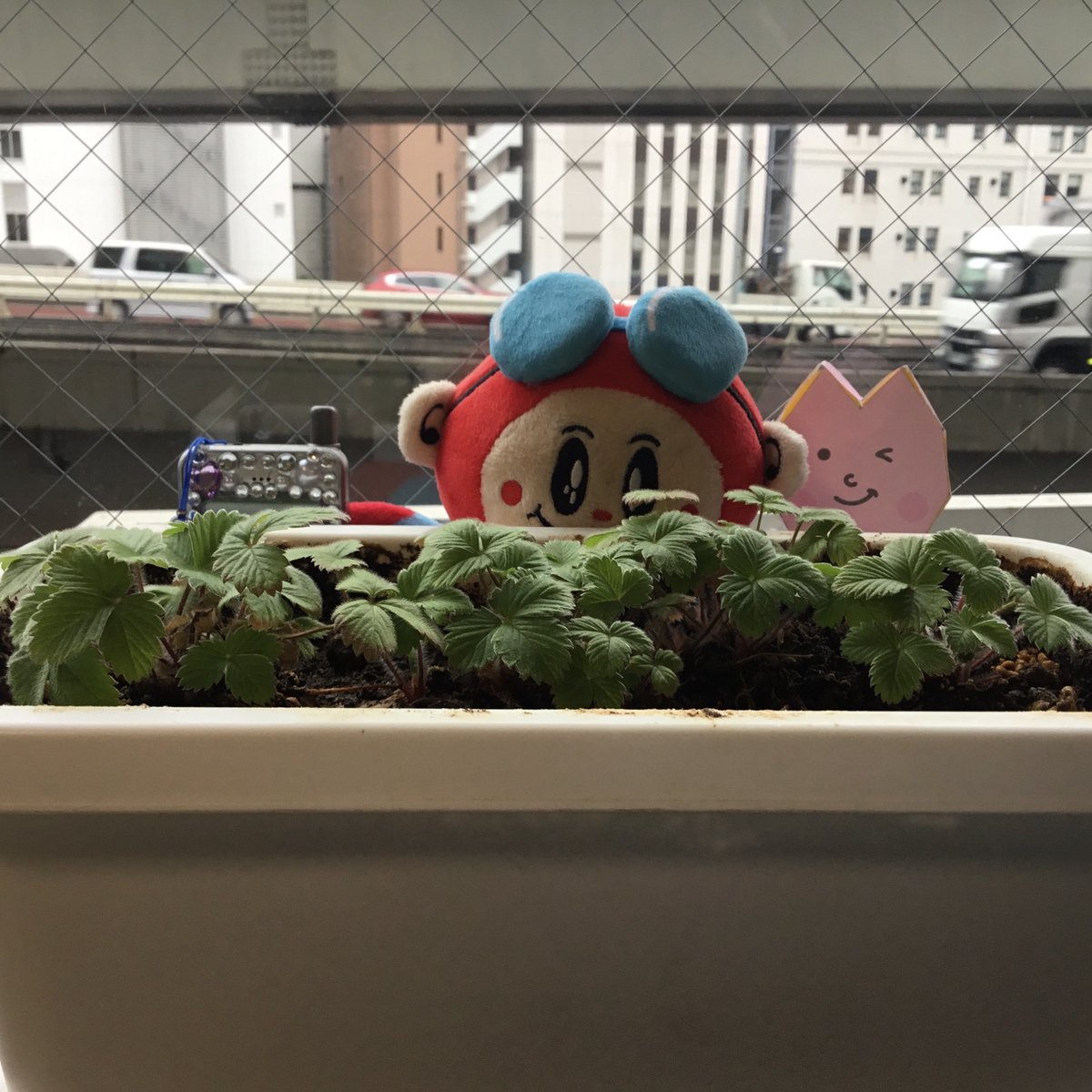 ☎meidentsushop名電通【公式】 tweet media